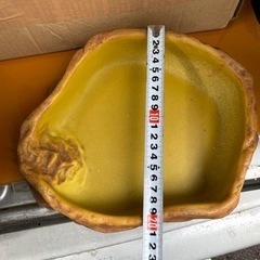 爬虫類用品中古の画像