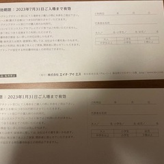 HIS株主優待券　6000円分　ハウステンボス ラグナシア 割引券の画像