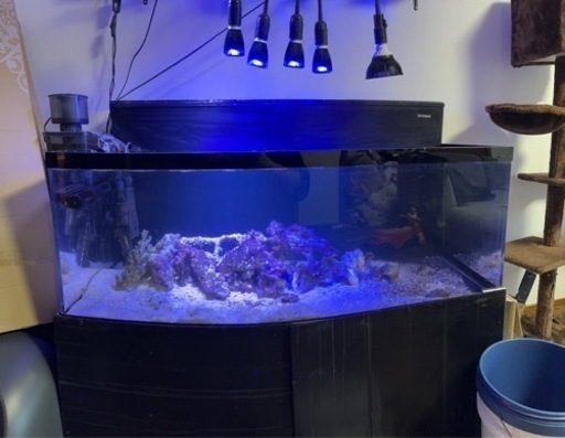 大幅値引き！1200×600×450 水槽　一式