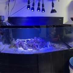 大幅値引き！1200×600×450 水槽　一式の画像