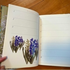 レポート用紙（2冊）無地ノート（3冊）、日記帳、三つ折りファイルの画像