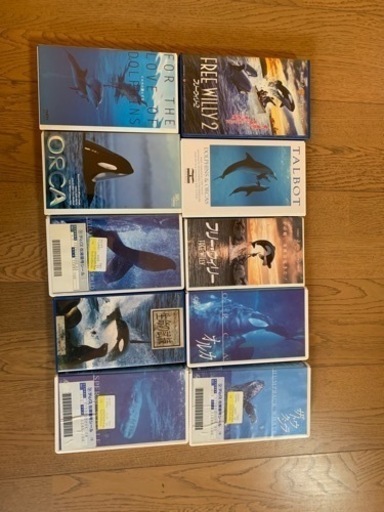 海洋生物のVHS