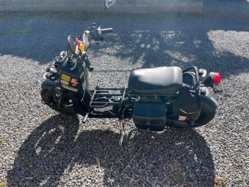 ズーマ50 決まりました。