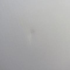 【アロマ付き】フランフラン超音波加湿器の画像