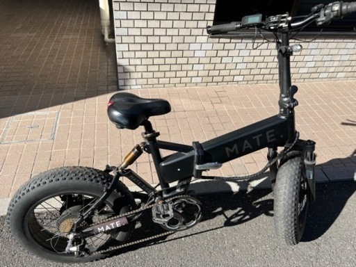 MATE X 250 自転車 全自動スロットル付き