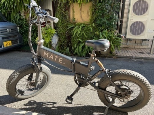 MATE X 250 自転車 全自動スロットル付き