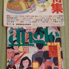 雑誌Angle 2冊