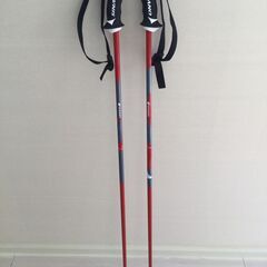 スキーポール シナノ  SINANO CX-Falcon 105cm レッド 21-22の画像