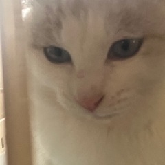 メェーちゃんの幸せを願います