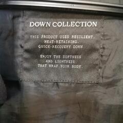 ユニクロPremiumダウンの画像