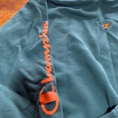 メンズトレーナー緑の画像