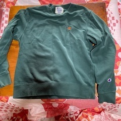 メンズトレーナー緑の画像