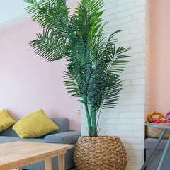 180cm人工観葉植物とラタン鉢カバーのセットの画像