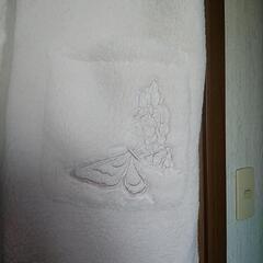 スカラー　ベストジャケットの画像