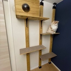 キャットタワー　高さ223cm程度の画像