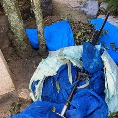 【決まりました】至急！草取りと庭掃除の手伝いお願いします - 広島市