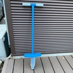 乗ってジャンプして遊ぶやつ ホッピング？