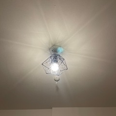 可愛いライト　電気　の画像