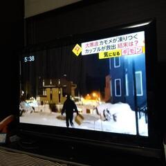 日立　50型プラズマテレビ