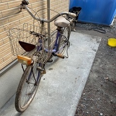 昭和の自転車の画像