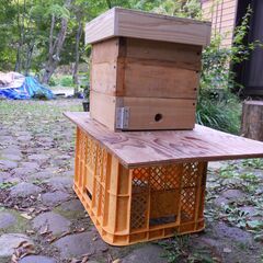 ニホンミツバチの重箱式2段巣箱×3セット(待受用)の画像