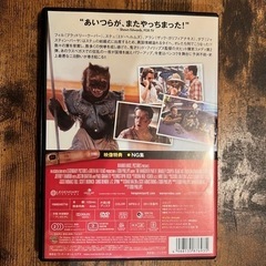 DVD「ハングオーバー！！史上最悪の二日酔い、国境を越える」の画像