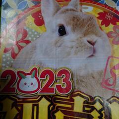 🐰譲って下さい🐰