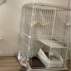 485系用号車板差込枠」＆号車板「7号車／―」