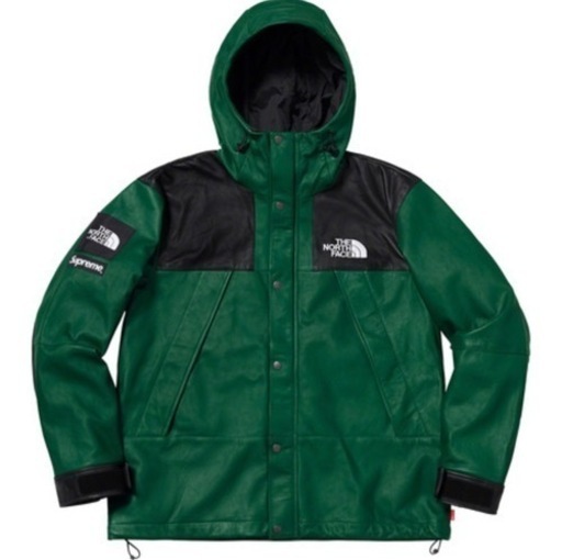 靴/バッグ Supreme NorthFace Leather Mountain Parka