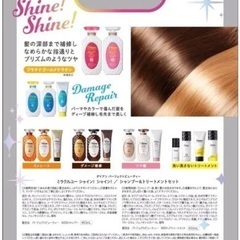 3/19(日) 配達します※相談(那覇 で予定あり)の画像