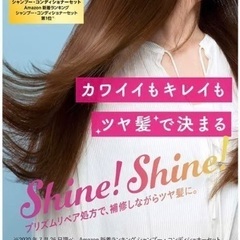 3/19(日) 配達します※相談(那覇 で予定あり)の画像