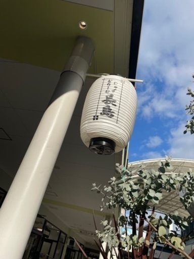 チャンピオン、シェルター、ピーチジョン まとめ