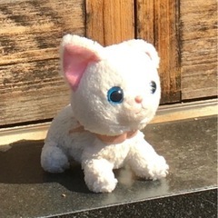 探しています