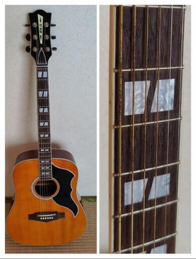 最後値引き!EKO 5 アクースティックギター Ranger VI VR