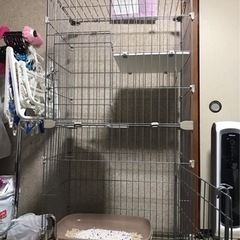 猫グッズセットの画像