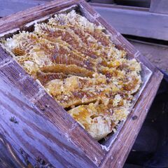 日本ミツバチの重箱式2段巣箱×2セット(待受用)の画像