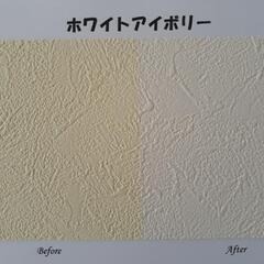 壁紙新時代！今の壁紙を再生させます。の画像