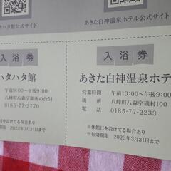 温泉無料券3枚セットの画像