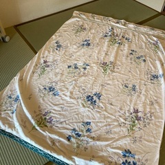 タオルケット使用品　中厚地