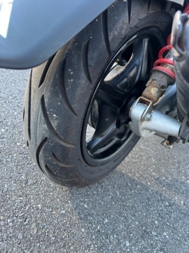 シグナス　三型　早い者勝ち
