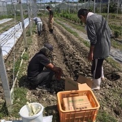 【3時間勤務から可能❣️利用者さんの見守り及び送迎】の画像