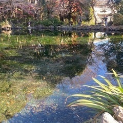 【東海】雑グル メンバー募集🍀