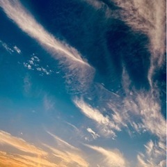 ドライバー募集　の画像