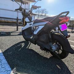 ZOOMER X #自賠責令和7年7月 #ズーマ #110cc #通勤 #通学の画像