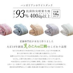 セミダブル　羽毛布団の画像