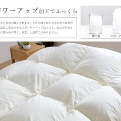 セミダブル　羽毛布団の画像