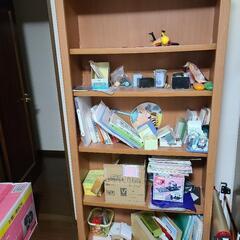 大きい本棚