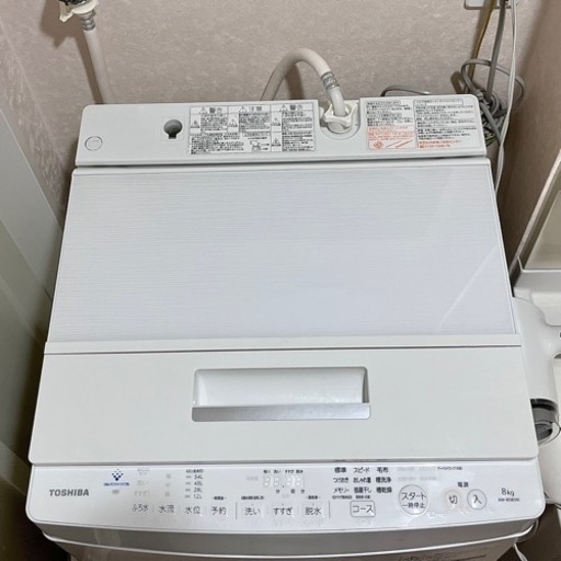 2019年式 東芝 ZABOON 8kg AW-8D8