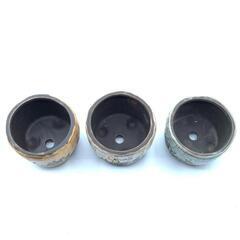 青　多肉植物　寄せ植え　高さ7.5CM　口径7.5CM　底穴あり　花瓶の画像