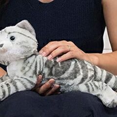 ⑨ニャーニャーさわると、なくよ、カワイイ音声とはっ？の画像